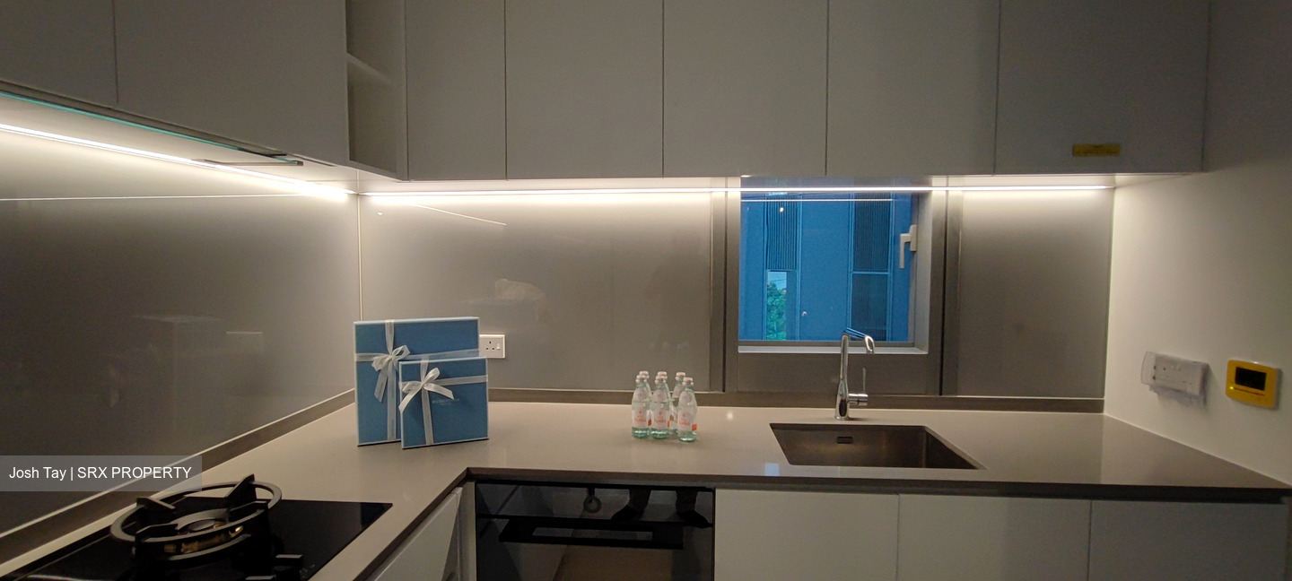 Amber Park (D15), Condominium #426903421